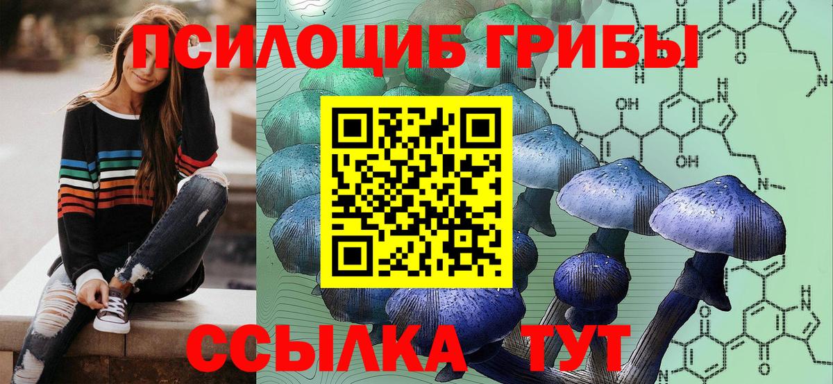 Пенза  Галлюциногенные грибы Psilocybine cubensis  Галлюциногенные грибы Psilocybe  Вход с VPN 