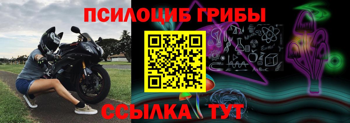 Псилоцибиновые грибы Psilocybine cubensis Пенза