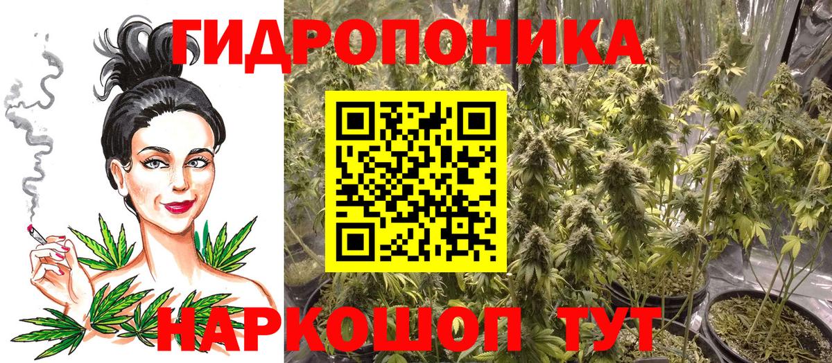 Бошки Шишки сатива Пенза